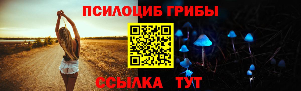 Воркута  Галлюциногенные грибы Cubensis  где найти   Вход с VPN 